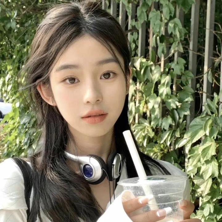 飞机总动员：打火英雄